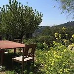 اينوت بيت شباب La Floresta Pearson