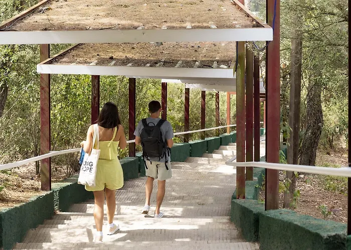 Inout Hostel La Floresta Pearson
