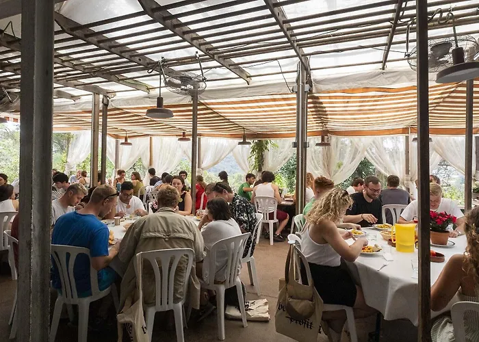 Inout La Floresta Pearson