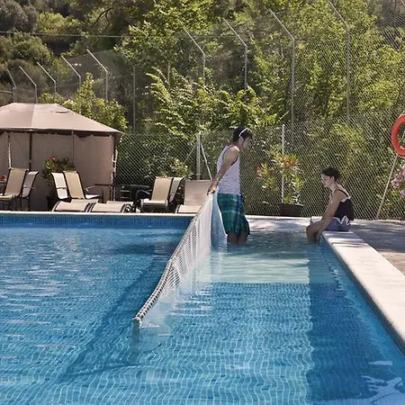 インアウト